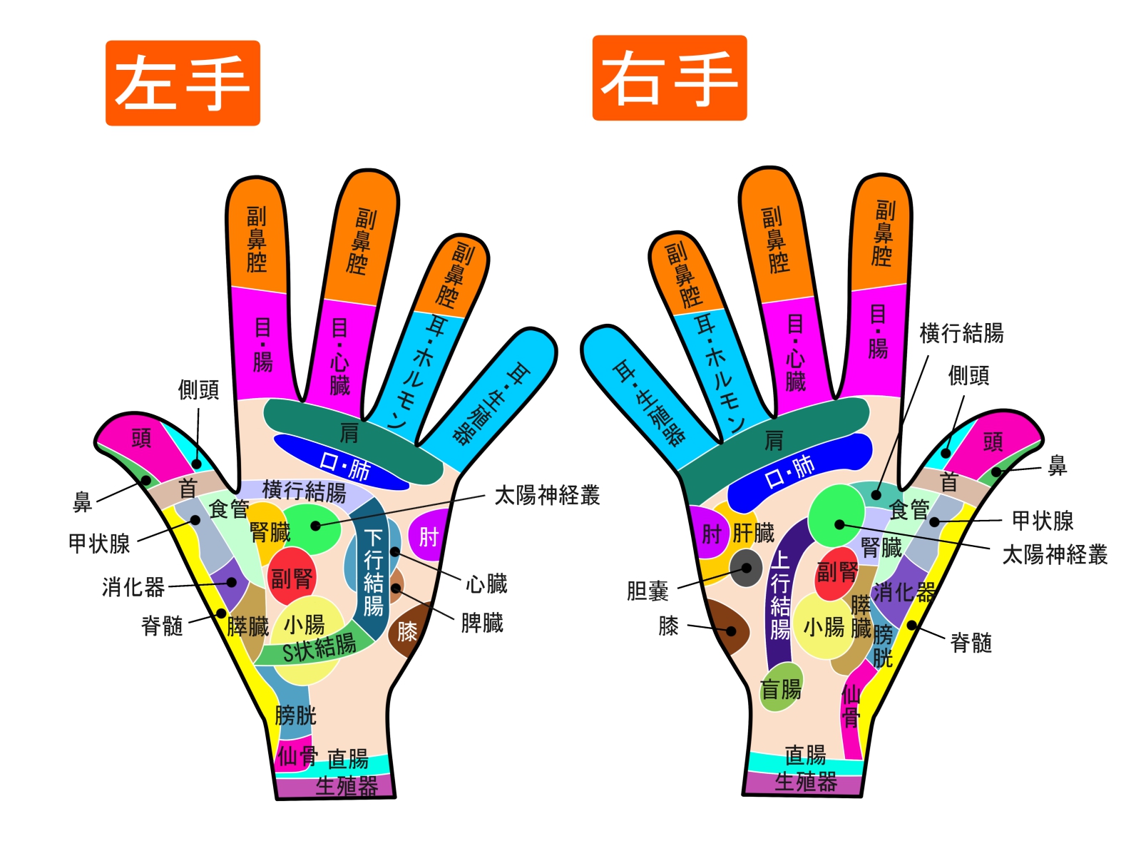 立ち仕事 オフィスワーク問わずできる 仕事の合間のストレッチ 手のひら編