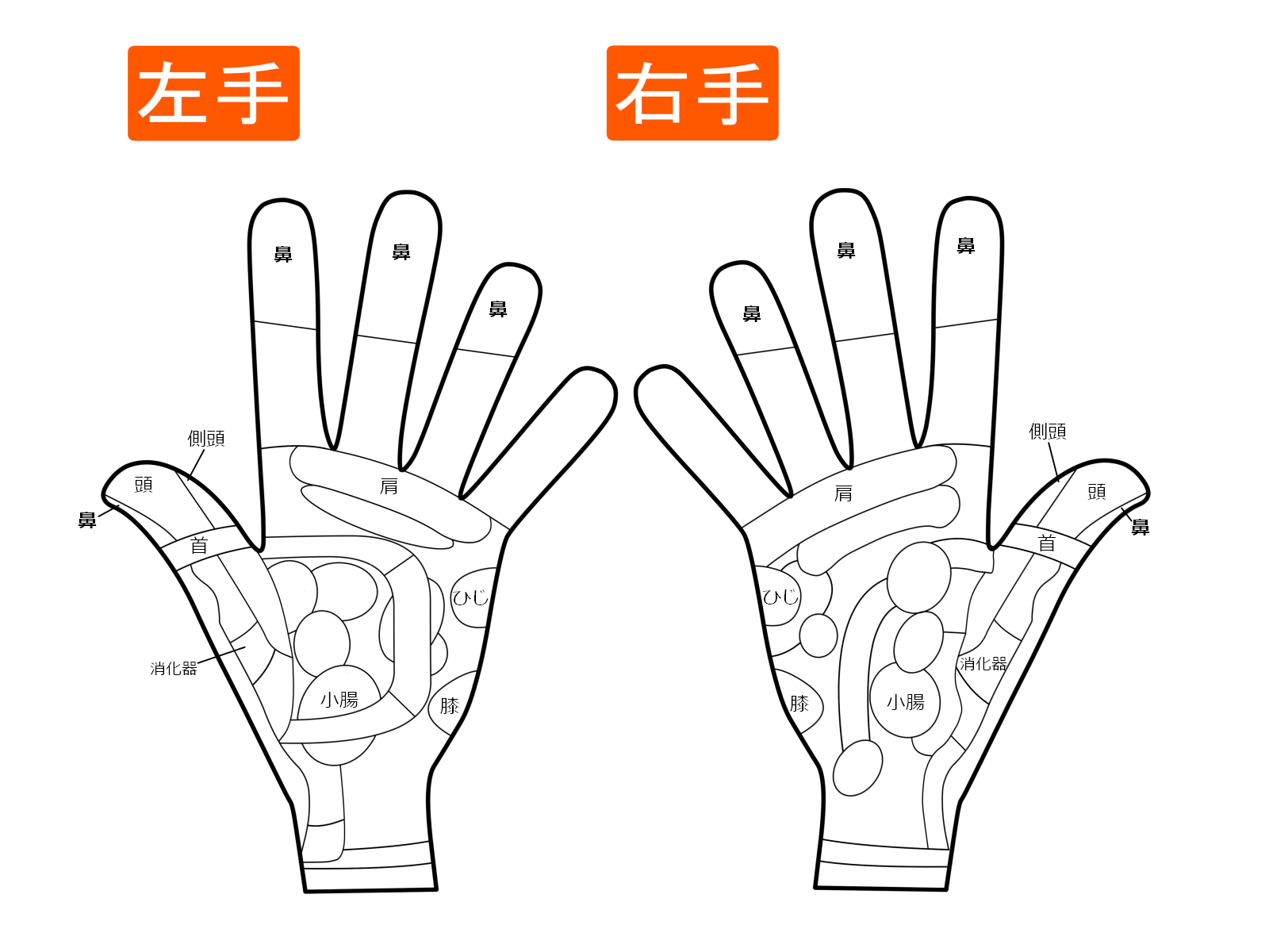 立ち仕事 オフィスワーク問わずできる 仕事の合間のストレッチ 手のひら編