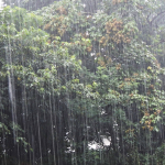 夏と台風について